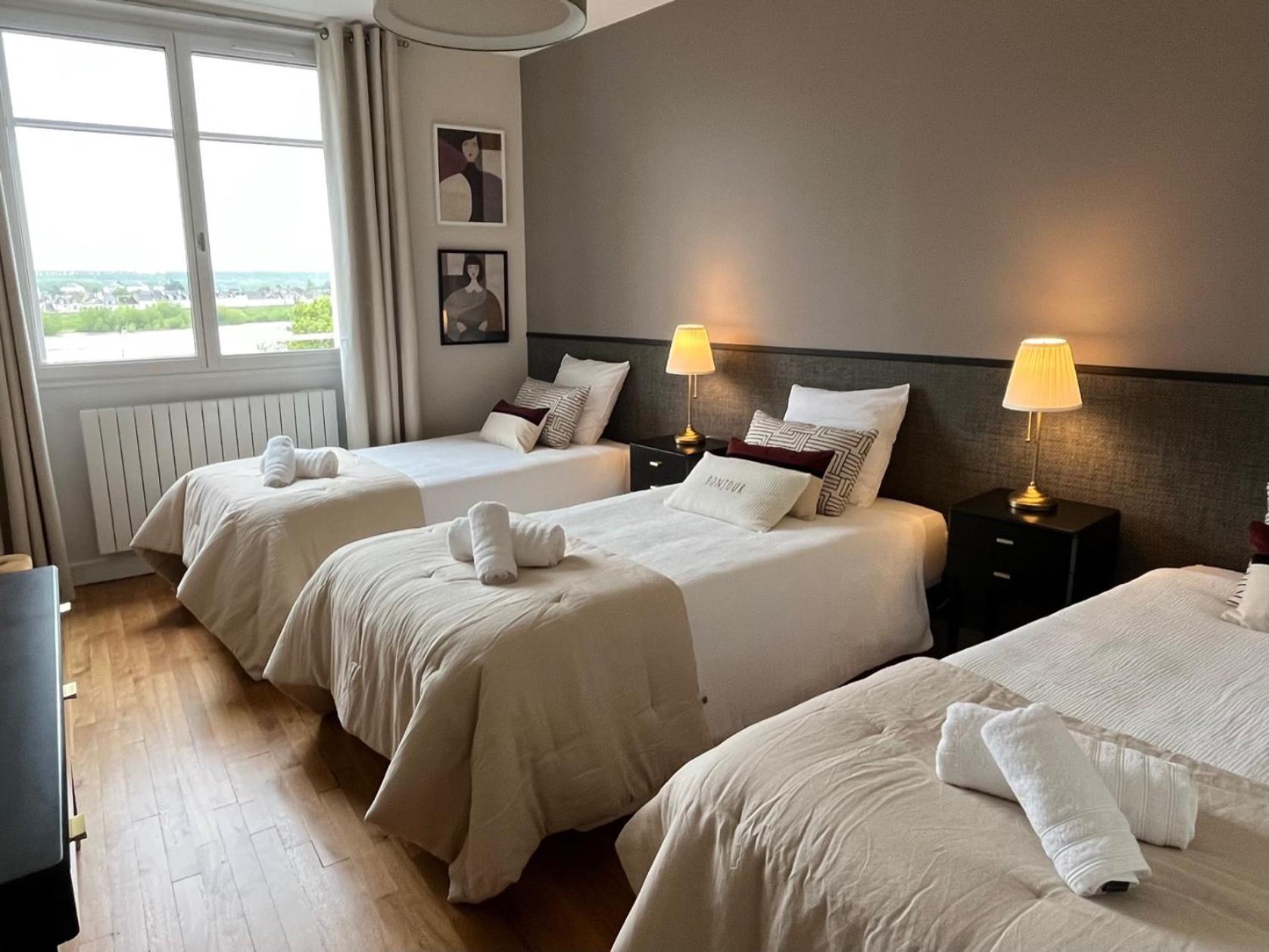 Coeur De Blois Charmant Appart Louis XII Vue Loire Екстериор снимка